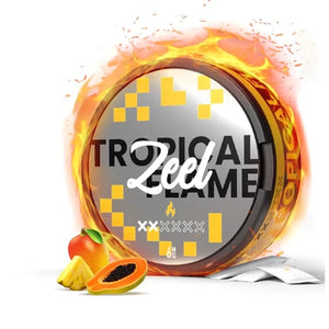 Zeel Tropical Flame Nicotine Pouches with tropical fruit visuals and fiery design.